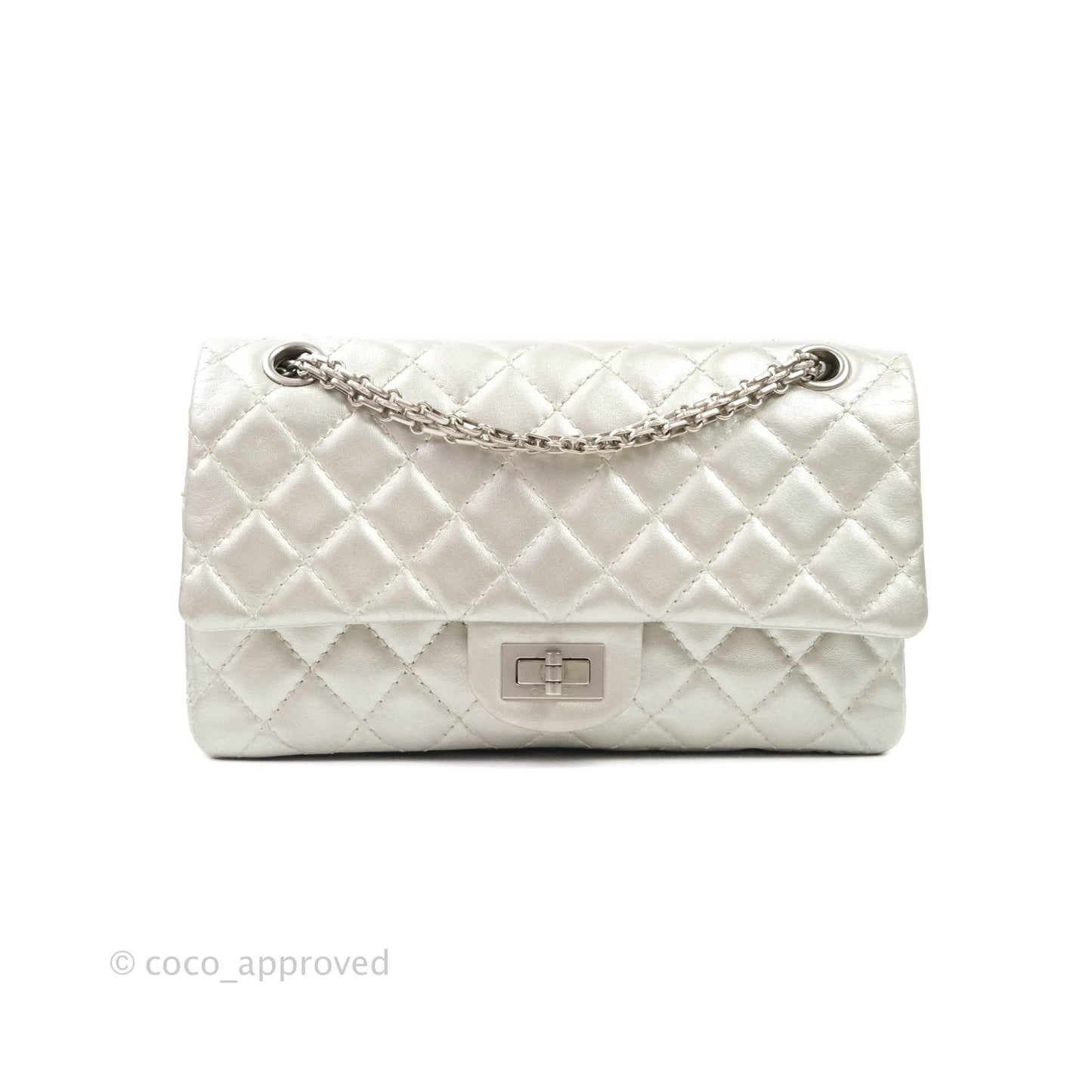 Chanel Reissue Quilted Aged Calfskin Metallic Silver Matte Silver Hardware 225