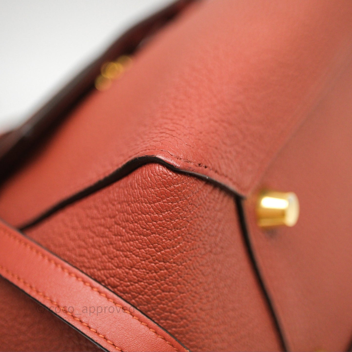 Celine Mini Belt Bag Brick Red Grained Goatskin Gold Hardware