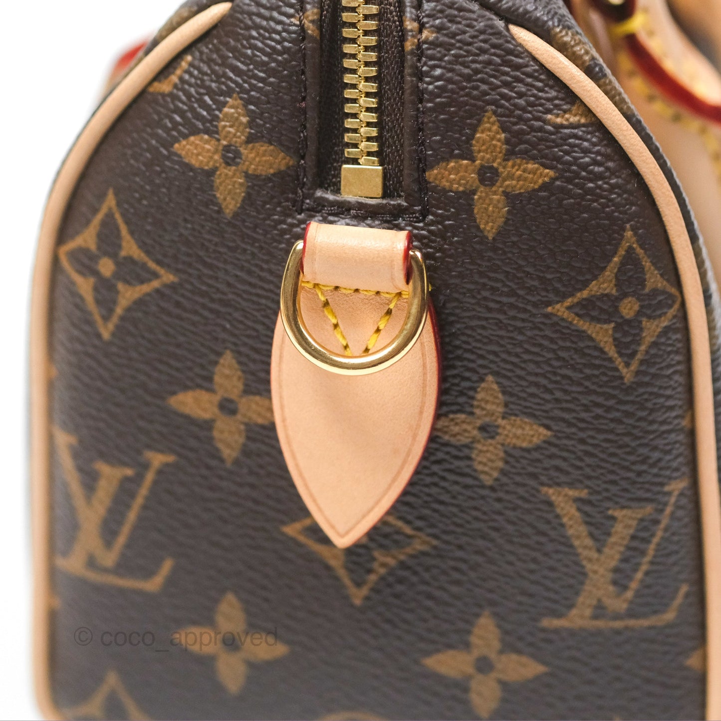Louis Vuitton Speedy Bandoulière 20 Monogram