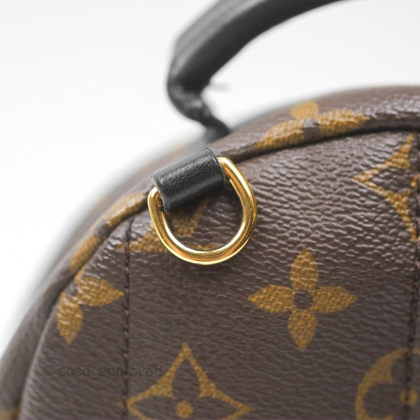 Louis Vuitton Mini Palm Springs Backpack⁣ Monogram