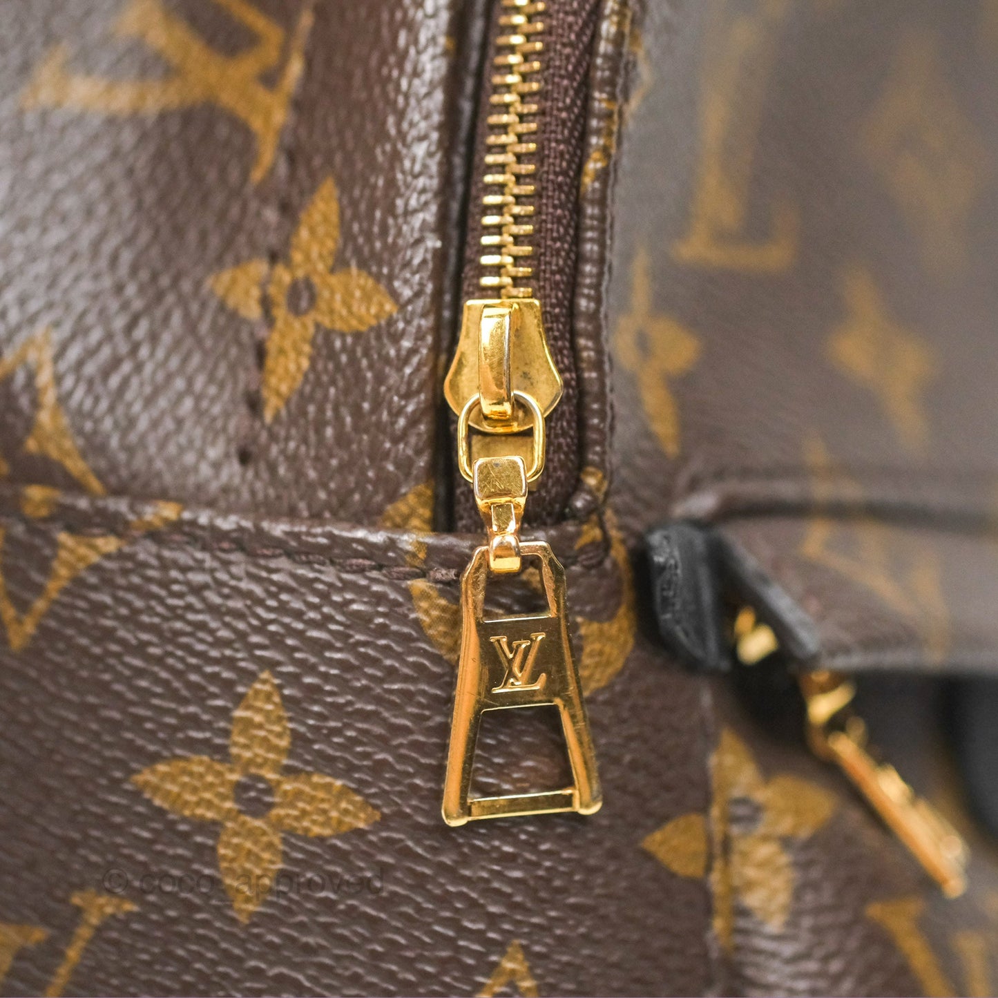 Louis Vuitton Mini Palm Springs Backpack⁣ Monogram