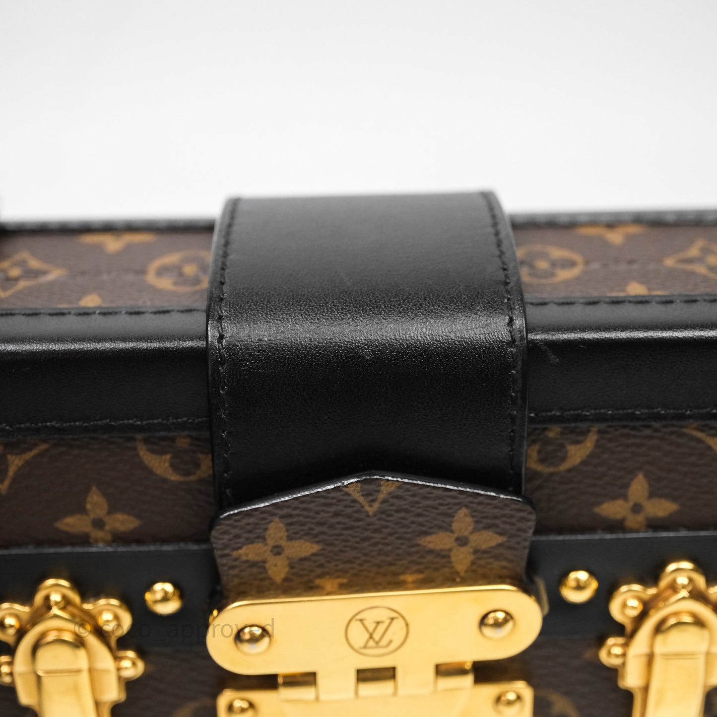 Louis Vuitton Monogram Petite Malle