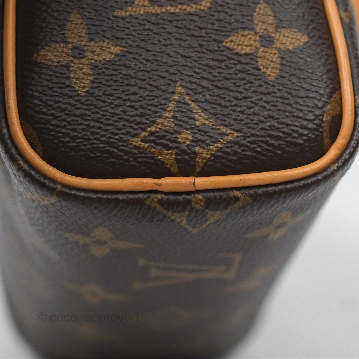 Louis Vuitton Nano Speedy Monogram