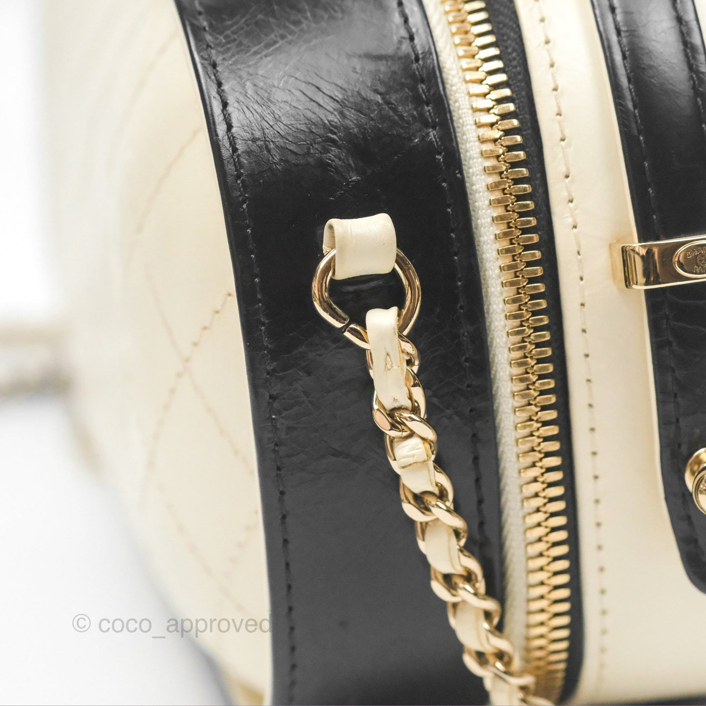 Chanel Camera Case Bag Black/White Calfskin Gold Hardware