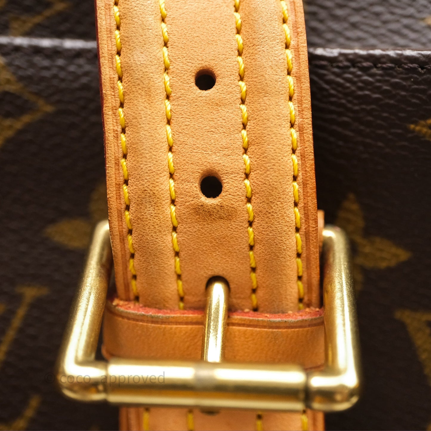 Louis Vuitton Multipli-Cite Tote Monogram Canvas