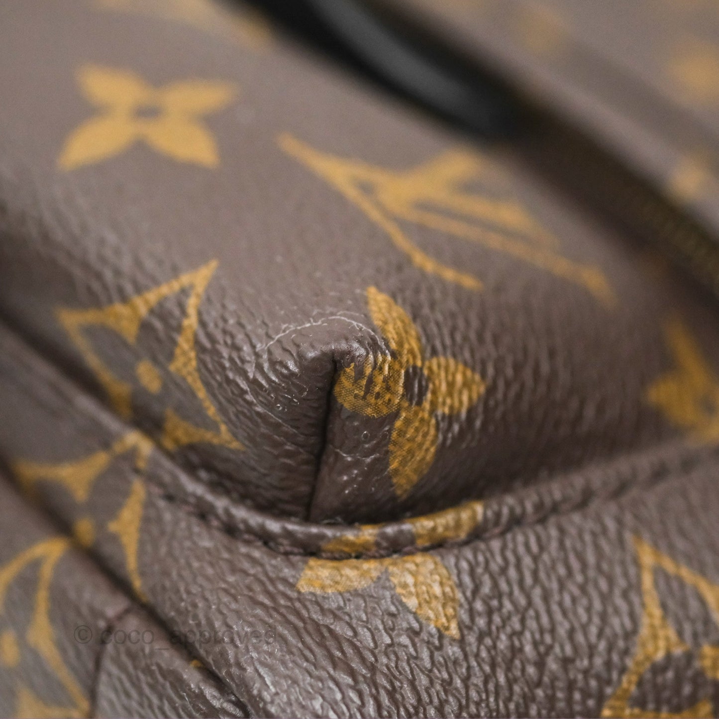 Louis Vuitton Mini Palm Springs Backpack⁣ Monogram