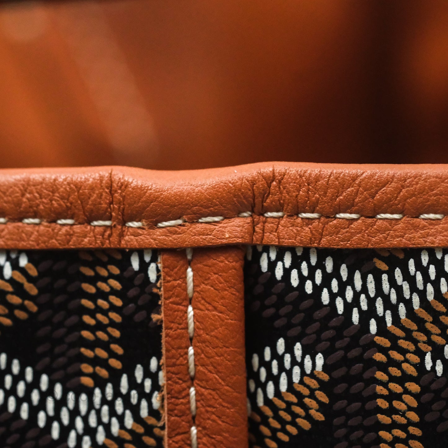 Goyard Anjou Mini Bag Goyardine Canvas Black/ Tan
