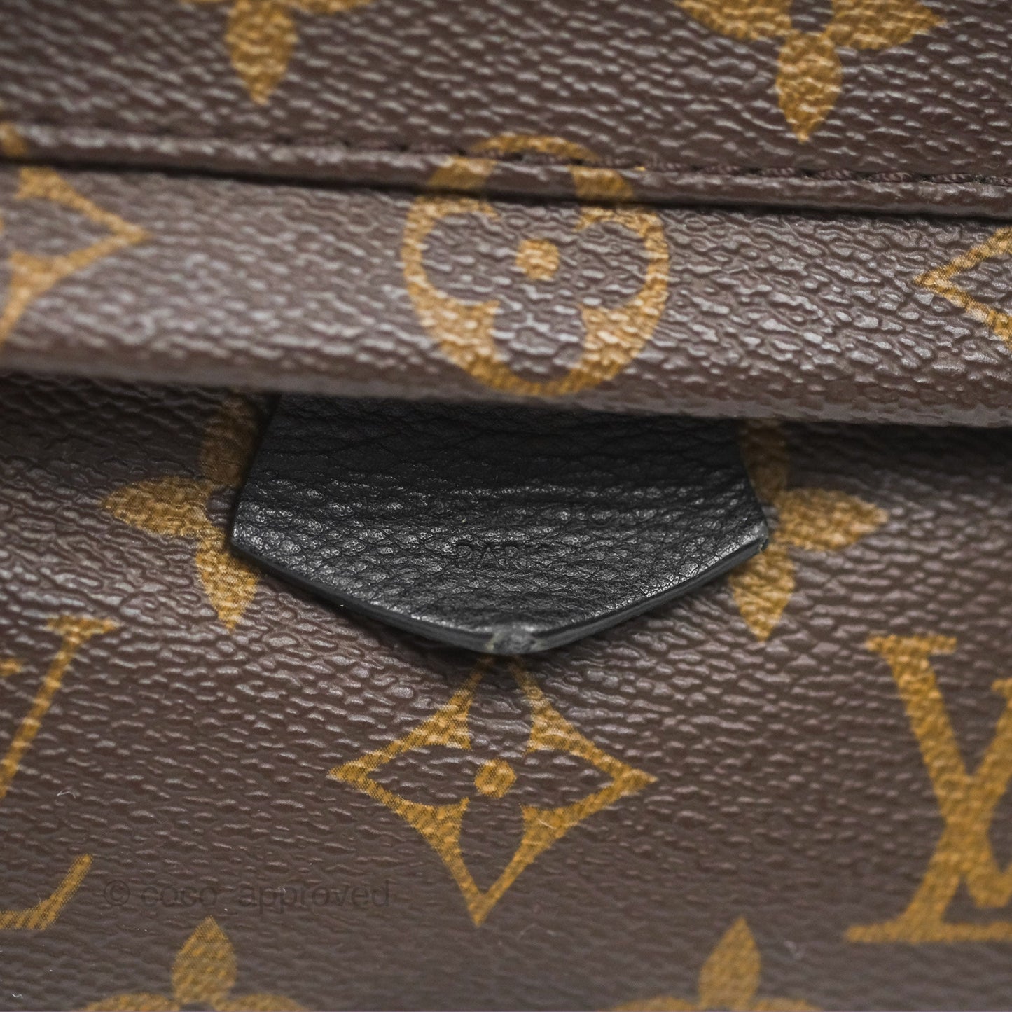 Louis Vuitton Mini Palm Springs Backpack⁣ Monogram