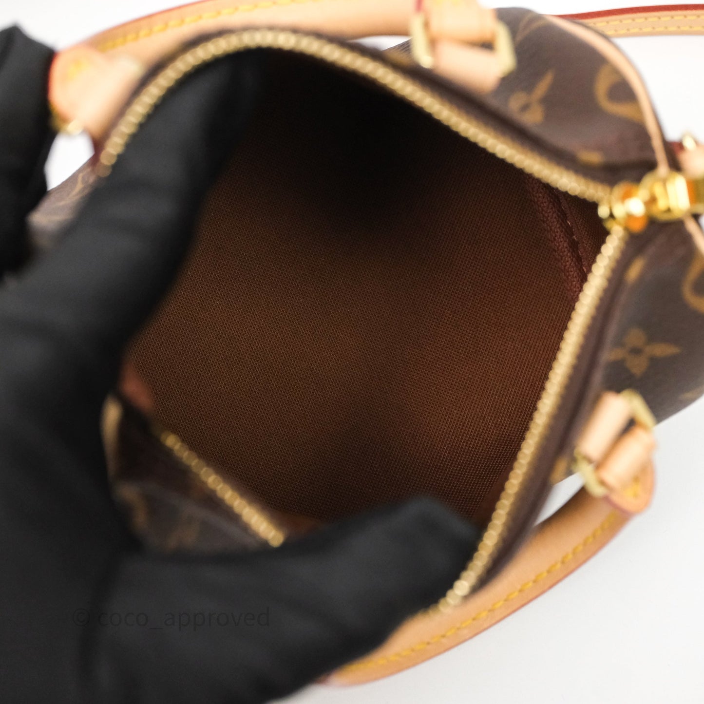 Louis Vuitton Nano Speedy Monogram Canvas
