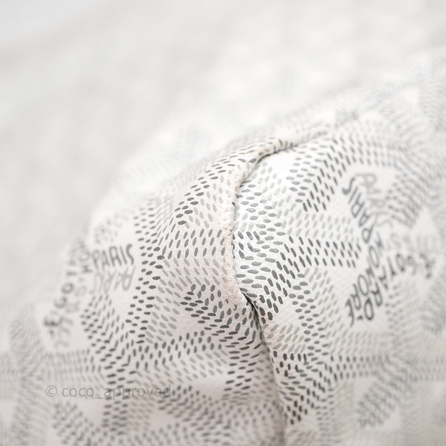 Goyard Bohème Hobo Bag PM White Goyardine Canvas