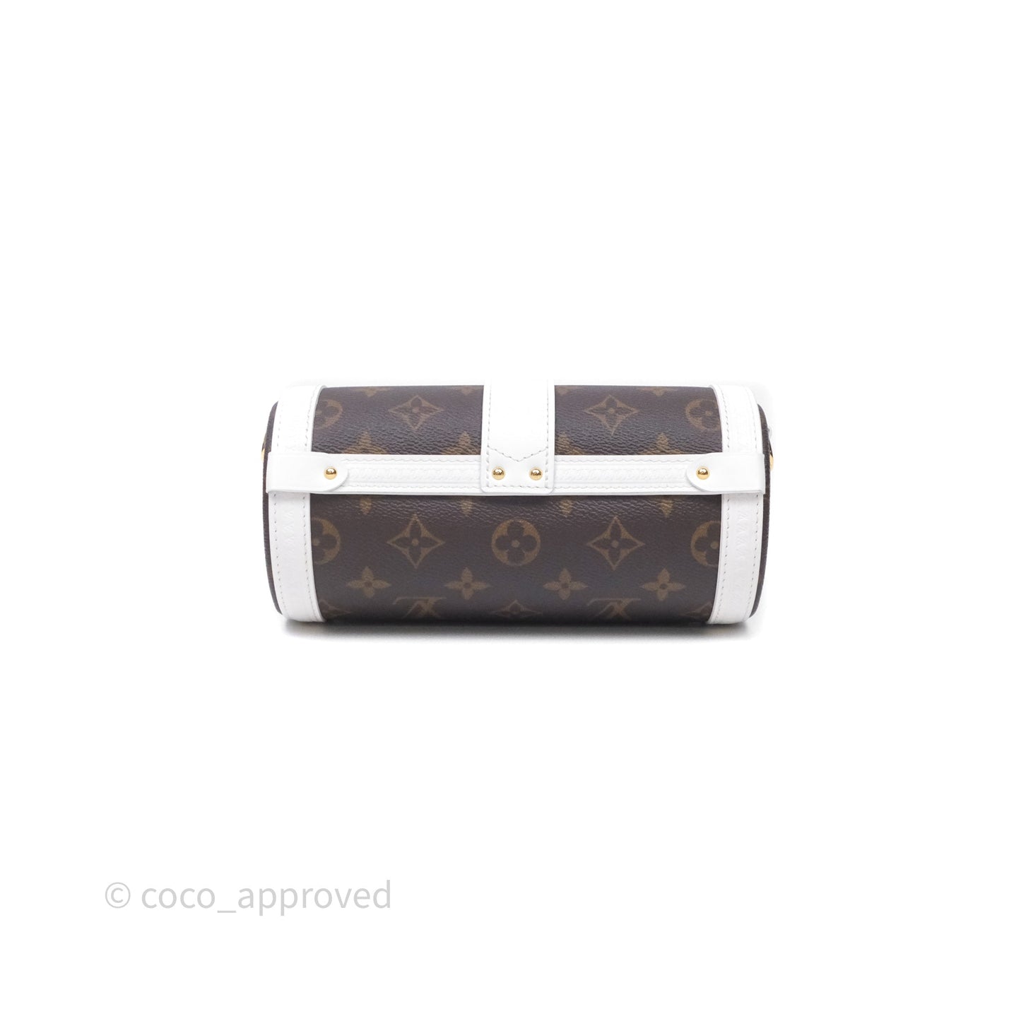 Louis Vuitton Monogram Papillon Trunk Bag