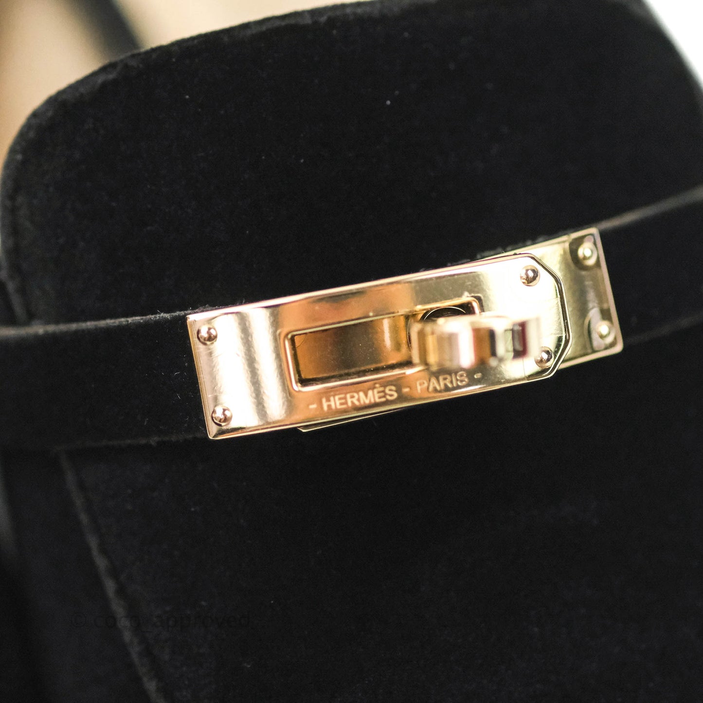 Hermès Oz Velvet Mules in Black Gold Hardware
