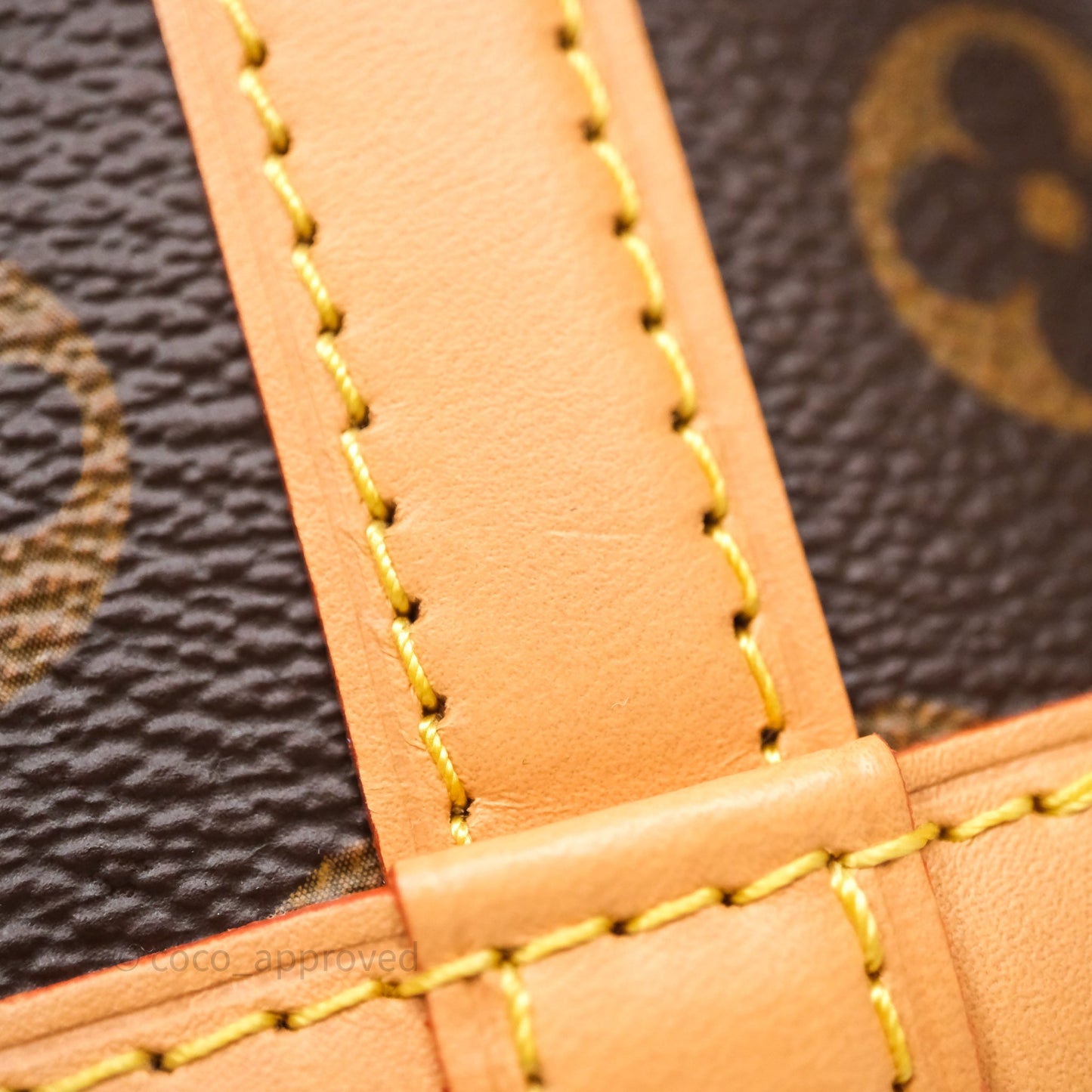 Louis Vuitton Nano Noe Monogram