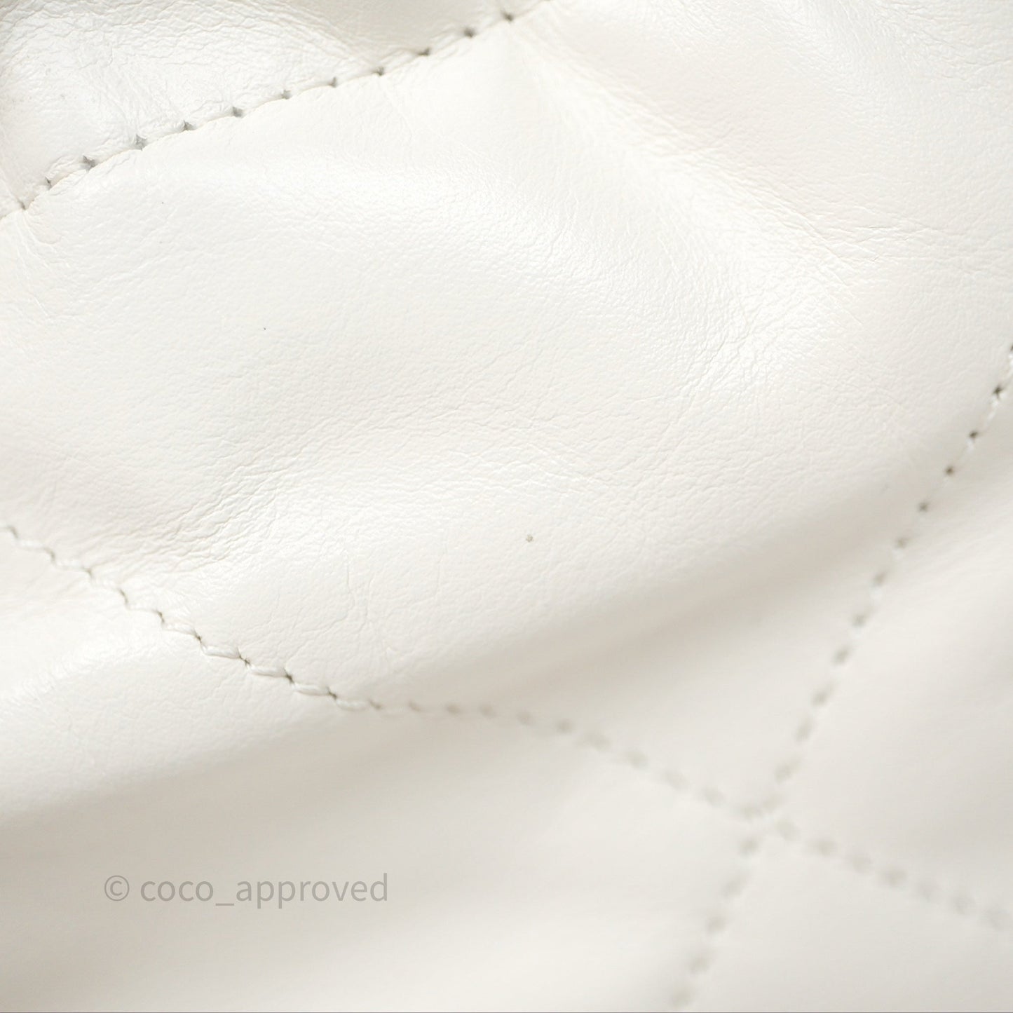 Chanel 22 Mini Bag White Shiny Crumpled Calfskin