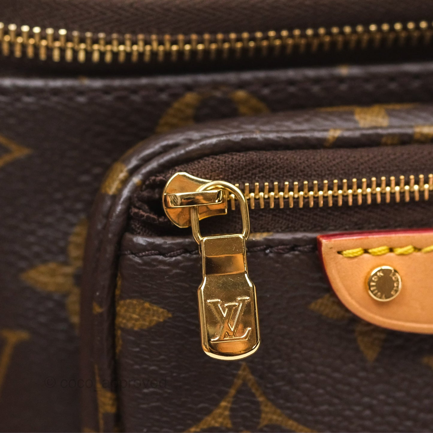 Louis Vitton Mini Bumbag in Monogram Canvas