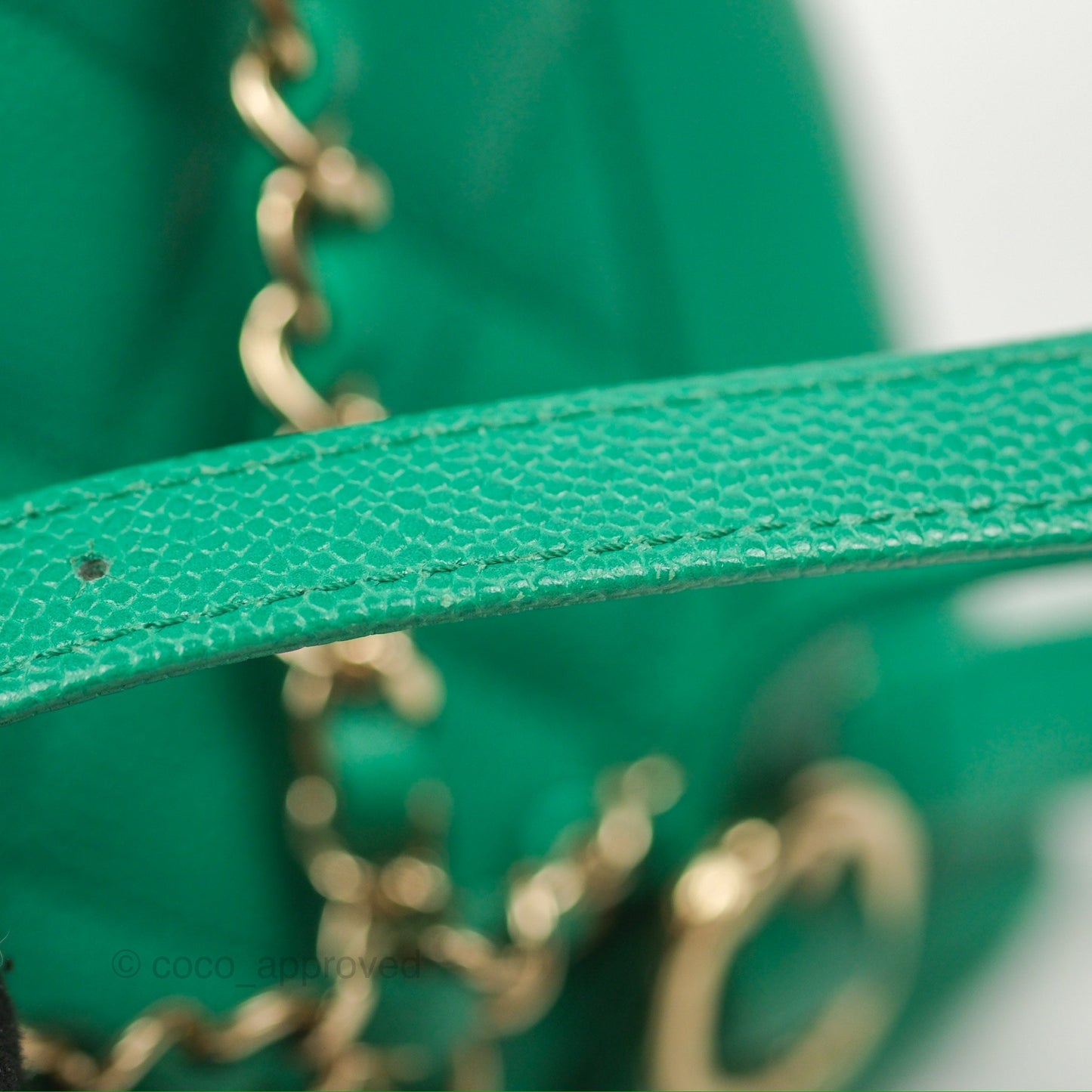 Chanel Duma Backpack Small Green Caviar Gold Hardware 23P