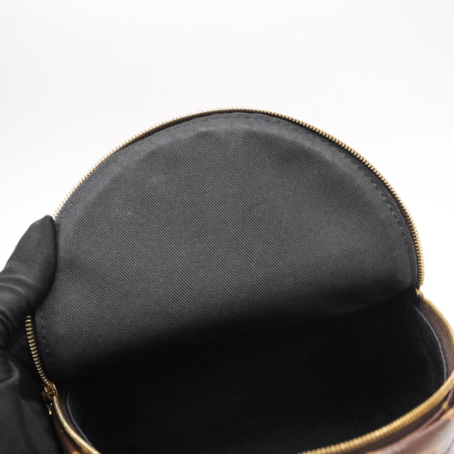 Louis Vuitton Mini Palm Springs Backpack⁣ Monogram