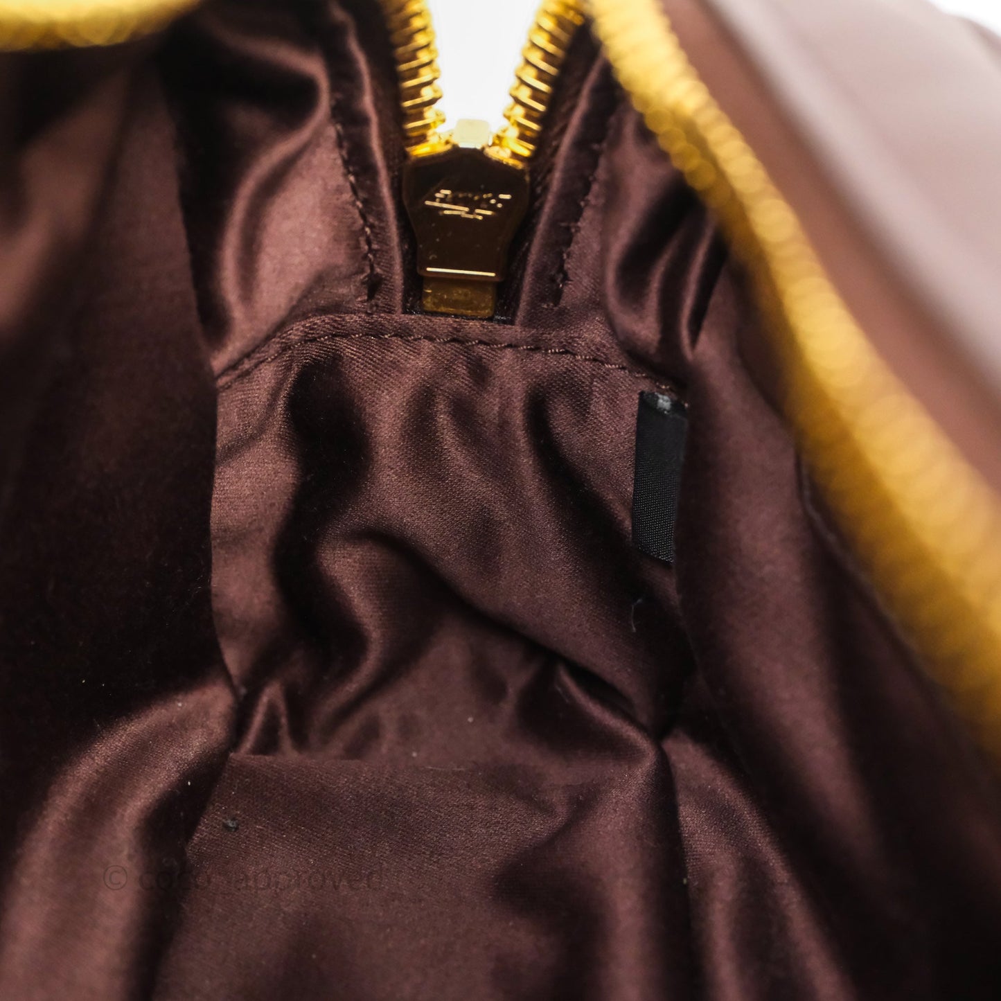Miu Miu Arcadie Leather Bag Briarwood