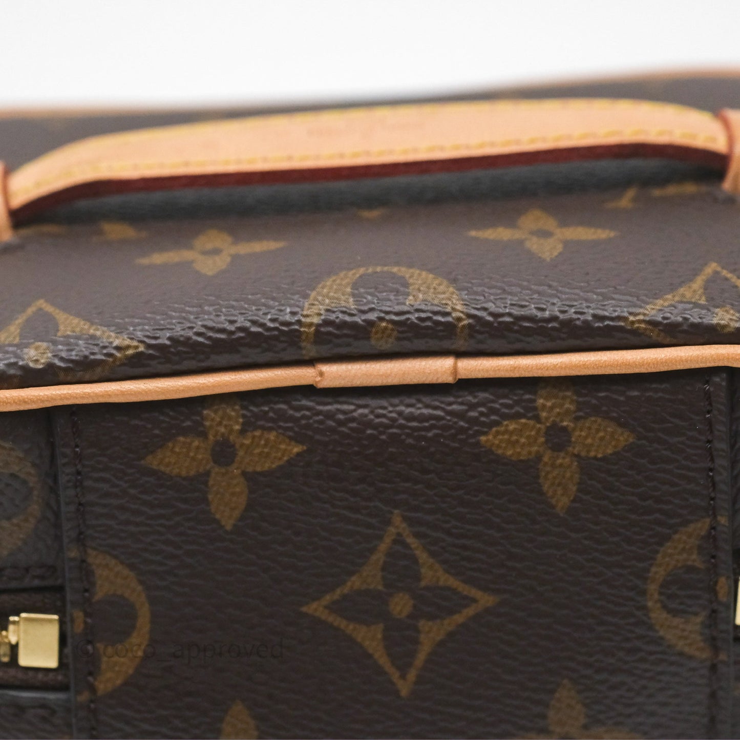 Louis Vuitton Monogram Nice Nano
