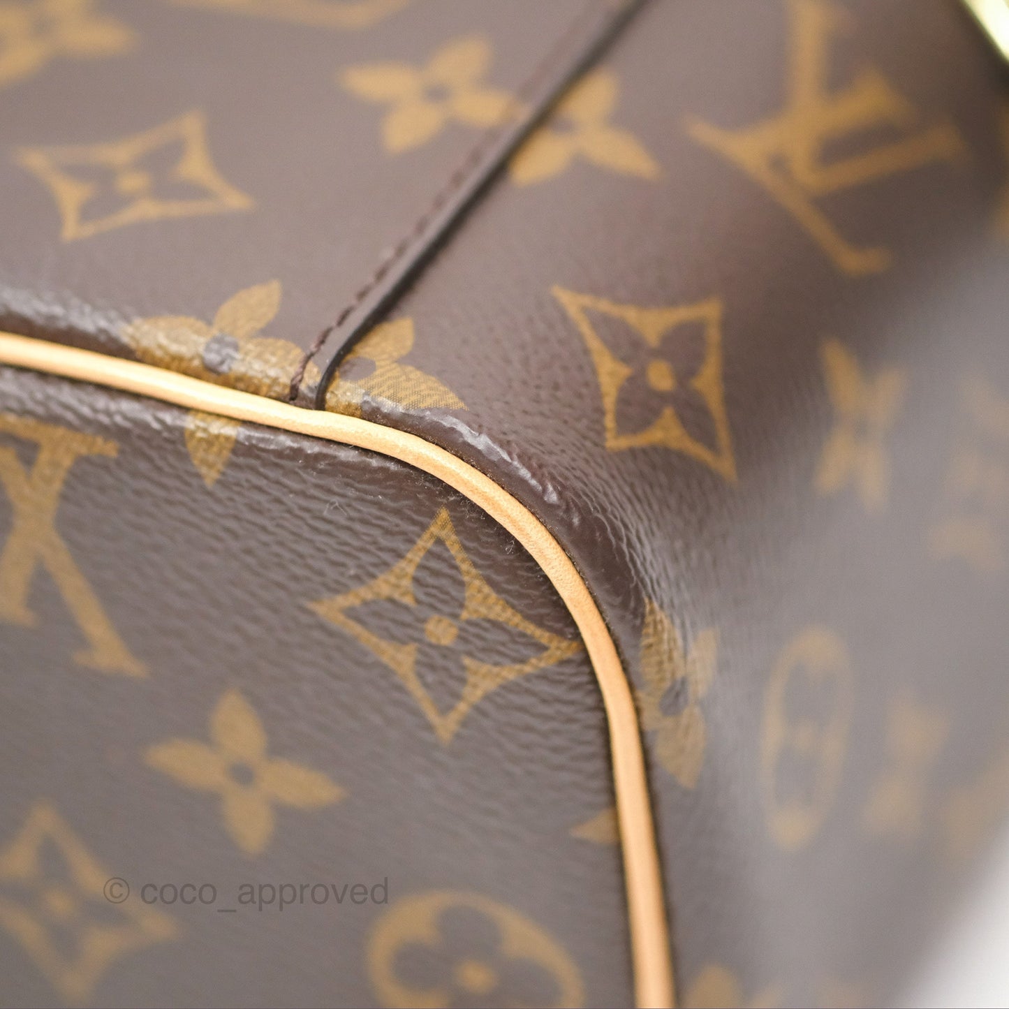 Louis Vuitton Monogram Nice Mini