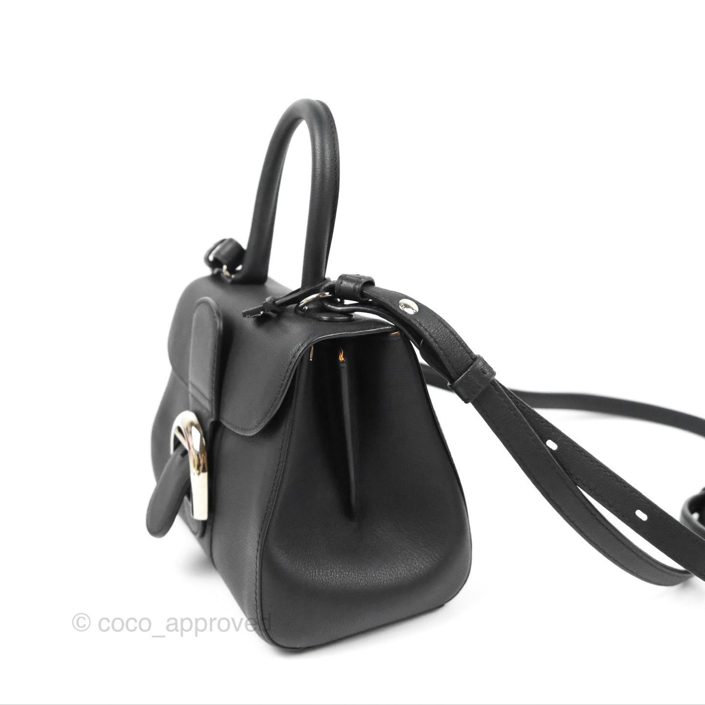 Delvaux Mini Brillant Bag Vegetal Rodeo Black Calf Silver Hardware