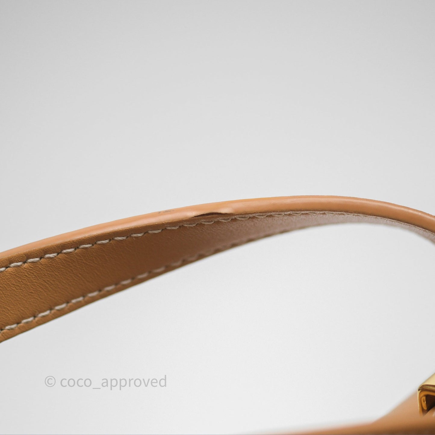 Loro Piana Extra Bag L27 Light Bamboo Calfskin Gold Hardware