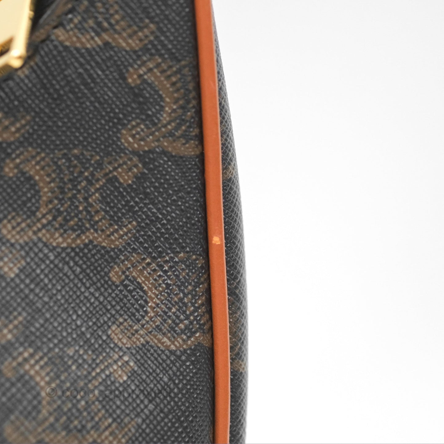 Celine Ava Bag In Triomphe Canvas Calfskin Tan