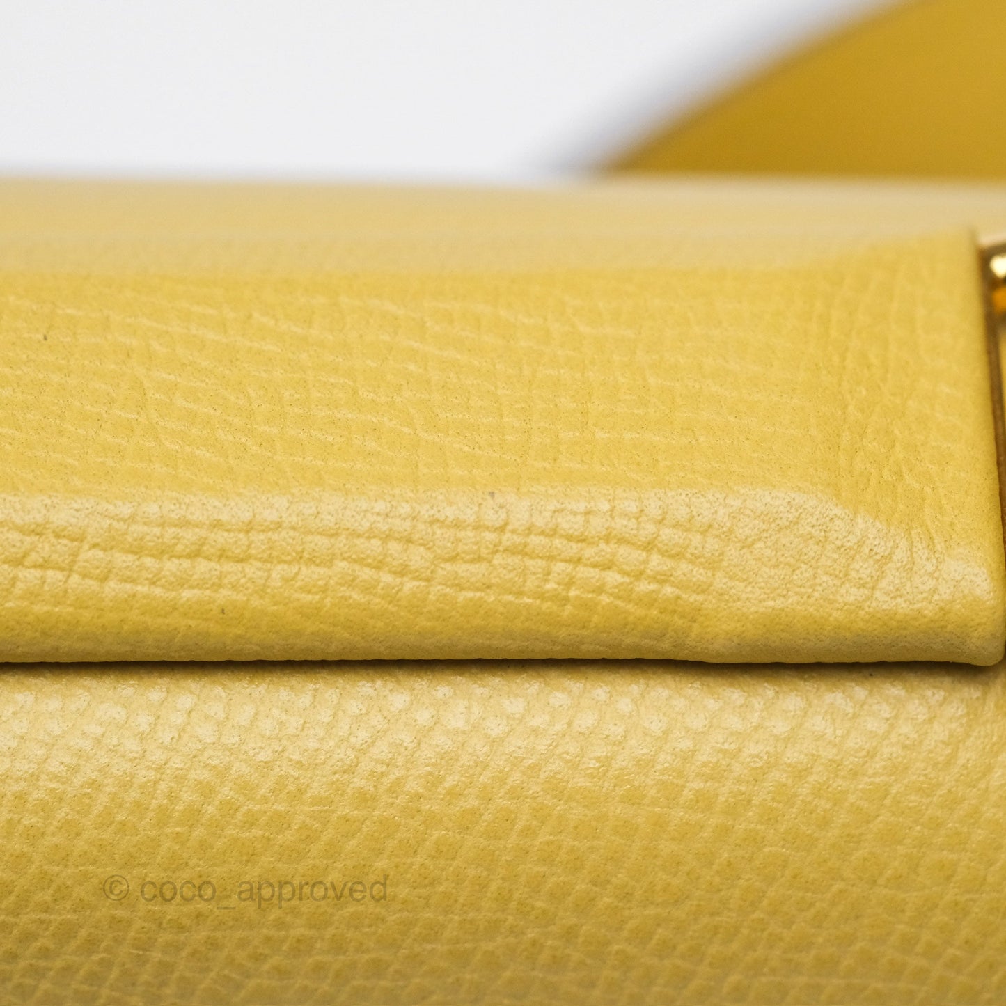 Delvaux Lingot Bag Pollen Alpina Calfskin