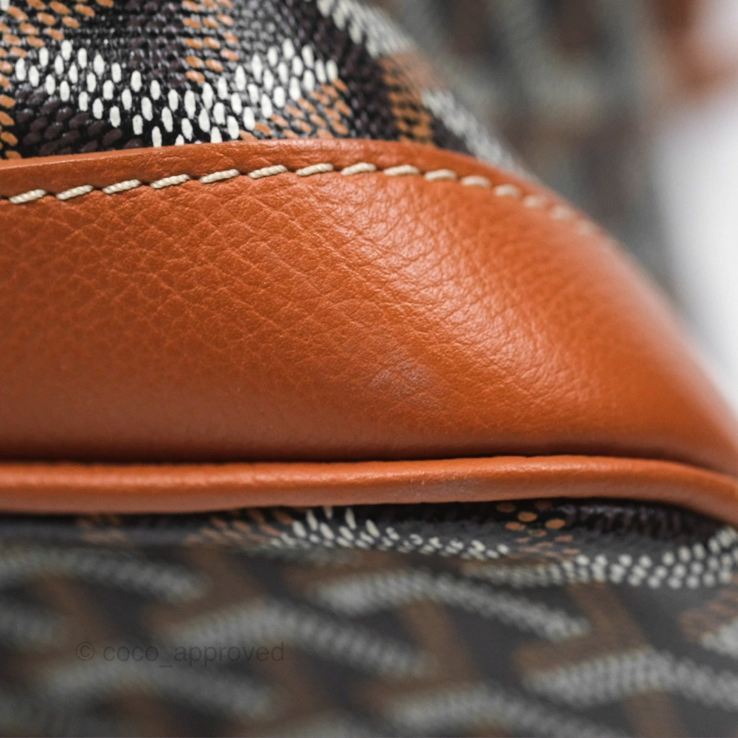 Goyard Petit Flot Bucket Bag Black & Tan Goyardine