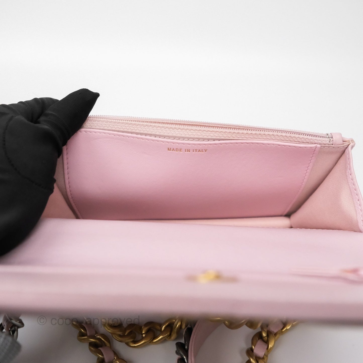 Chanel 19 Wallet on Chain WOC Light Pink Lambskin Mixed Hardware
