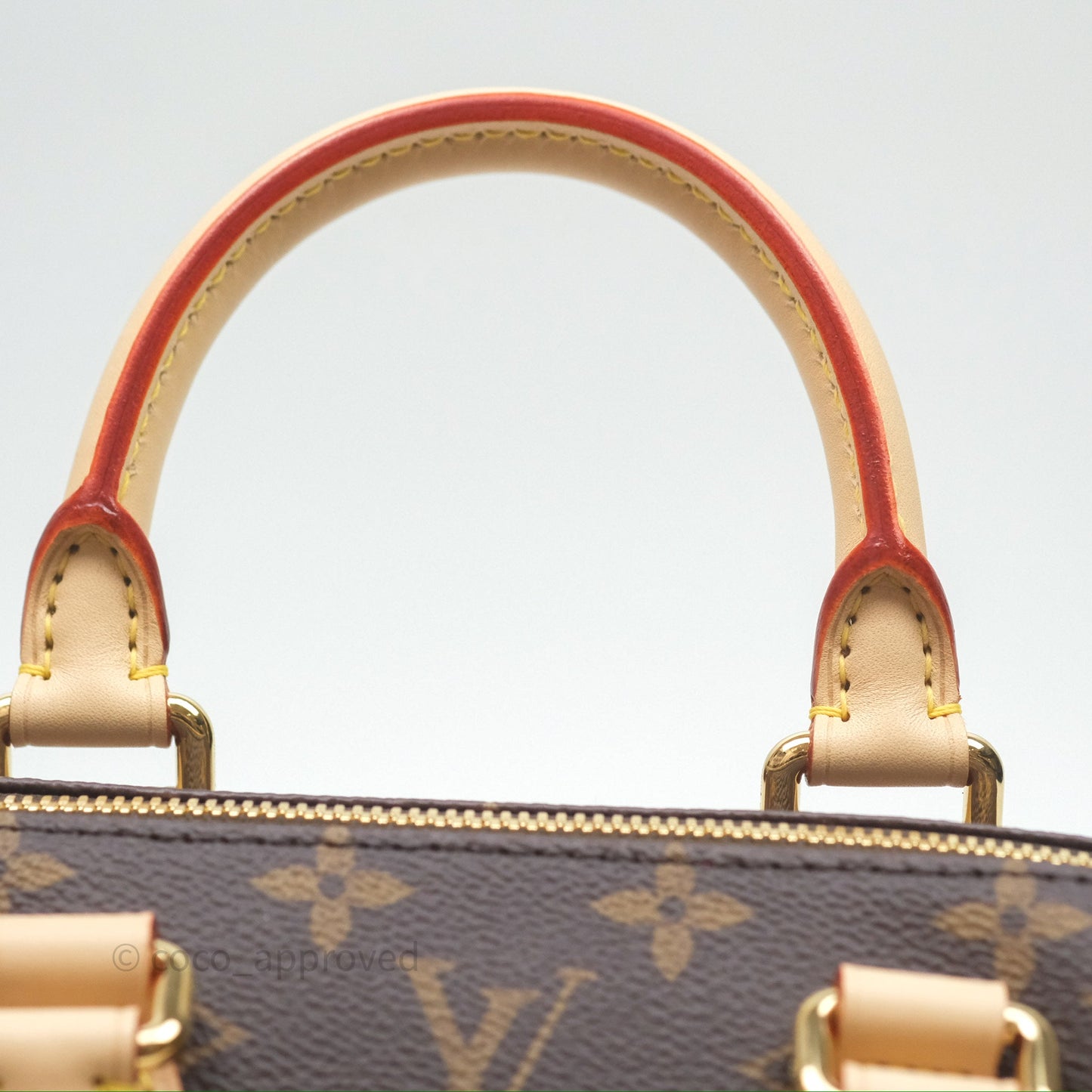 Louis Vuitton LV x Murakami Speedy Bandoulière 20 Monogram