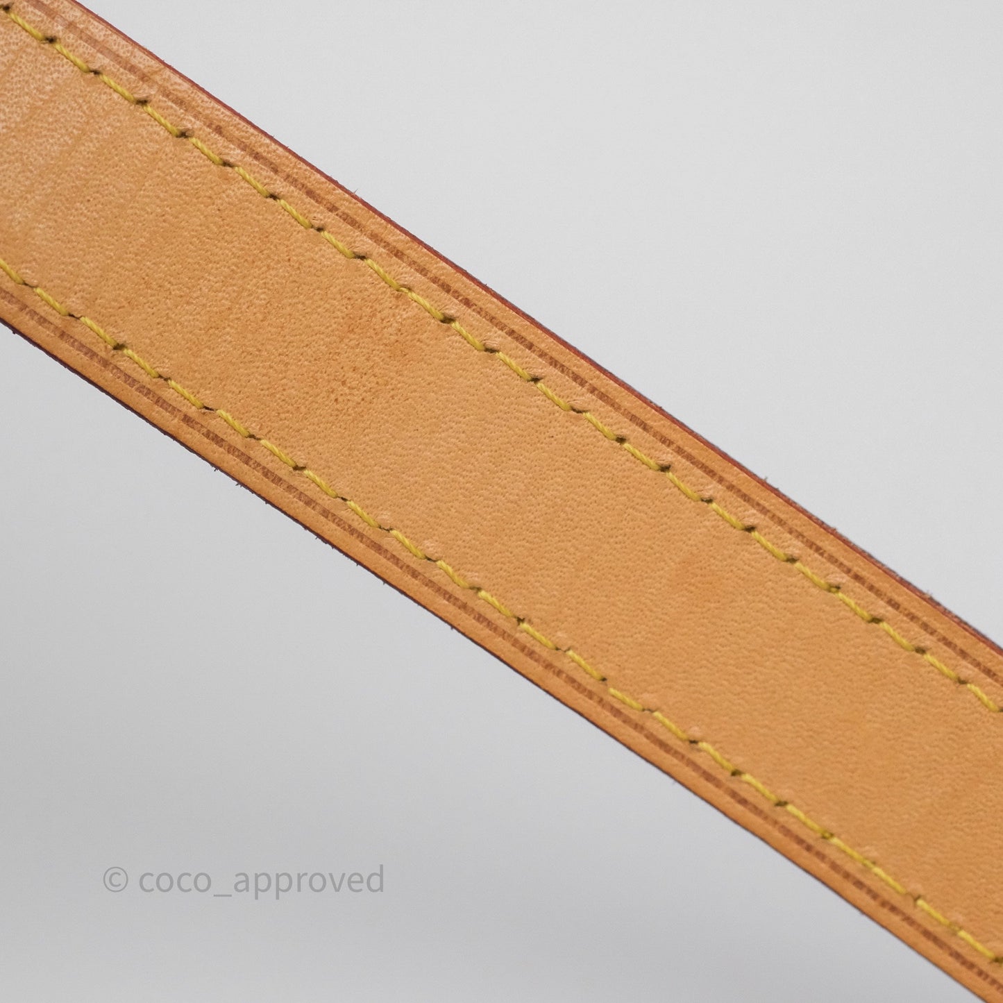 Louis Vuitton Noé BB Monogram Canvas