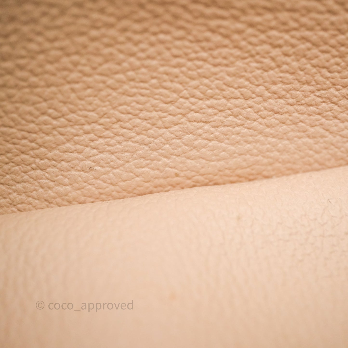 Louis Vuitton Nice Nano Monogram Canvas