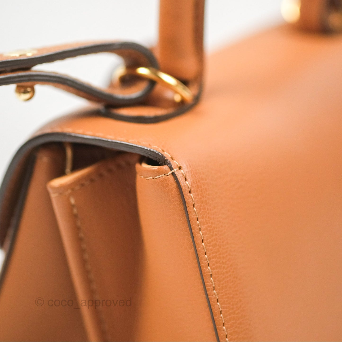 Delvaux Mini Brillant Bag Vegetal Rodeo Calf Gold Hardware