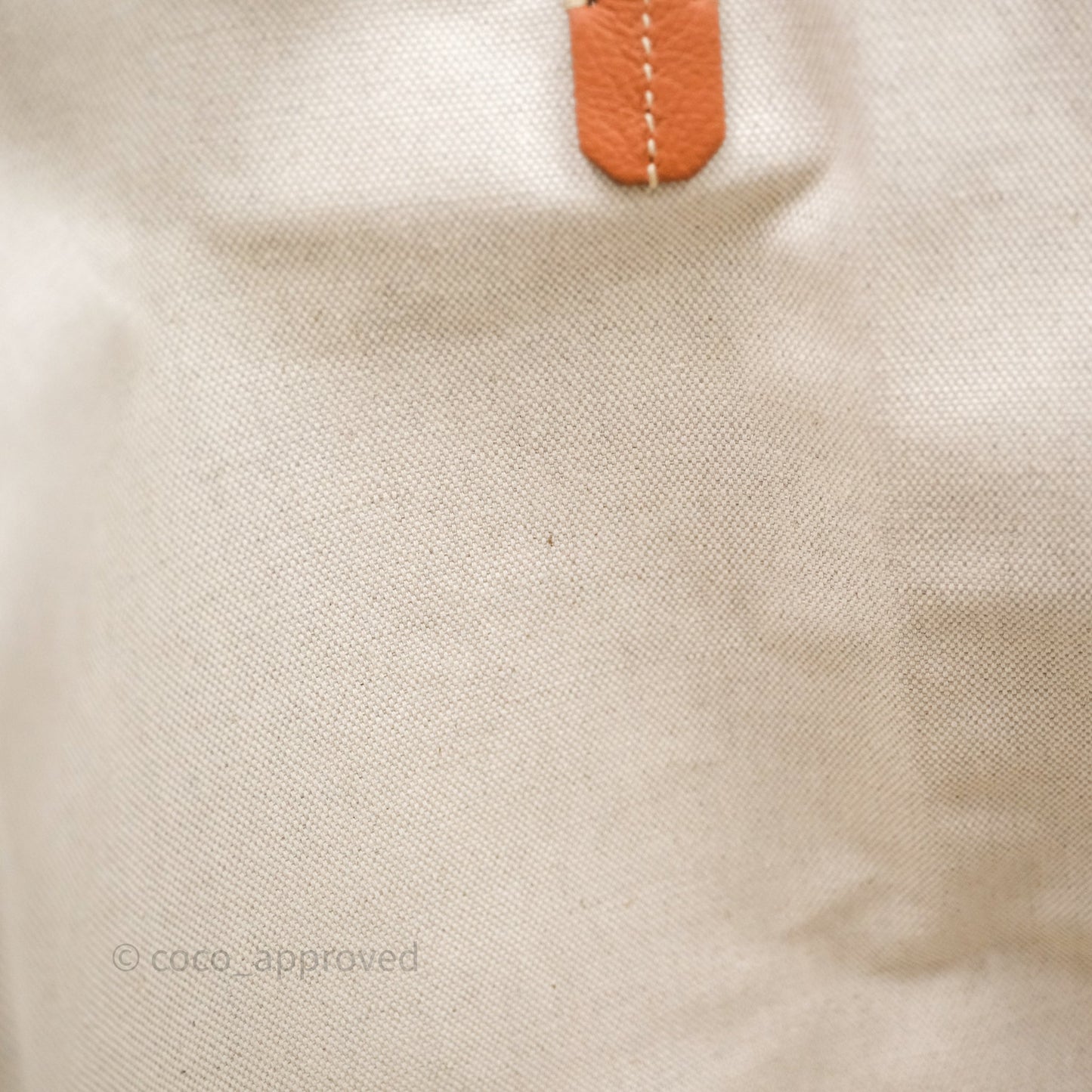 Goyard St Louis Tote PM Tan Black