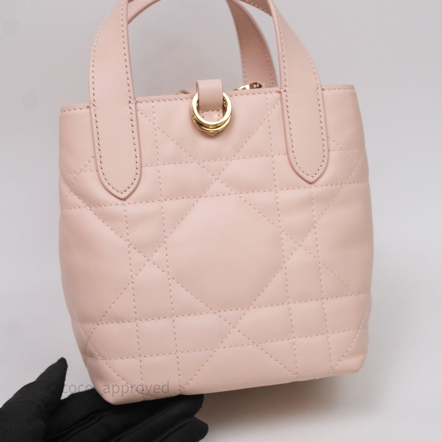 Christian Dior Toujours Vertical Nano Tote Bag Pink