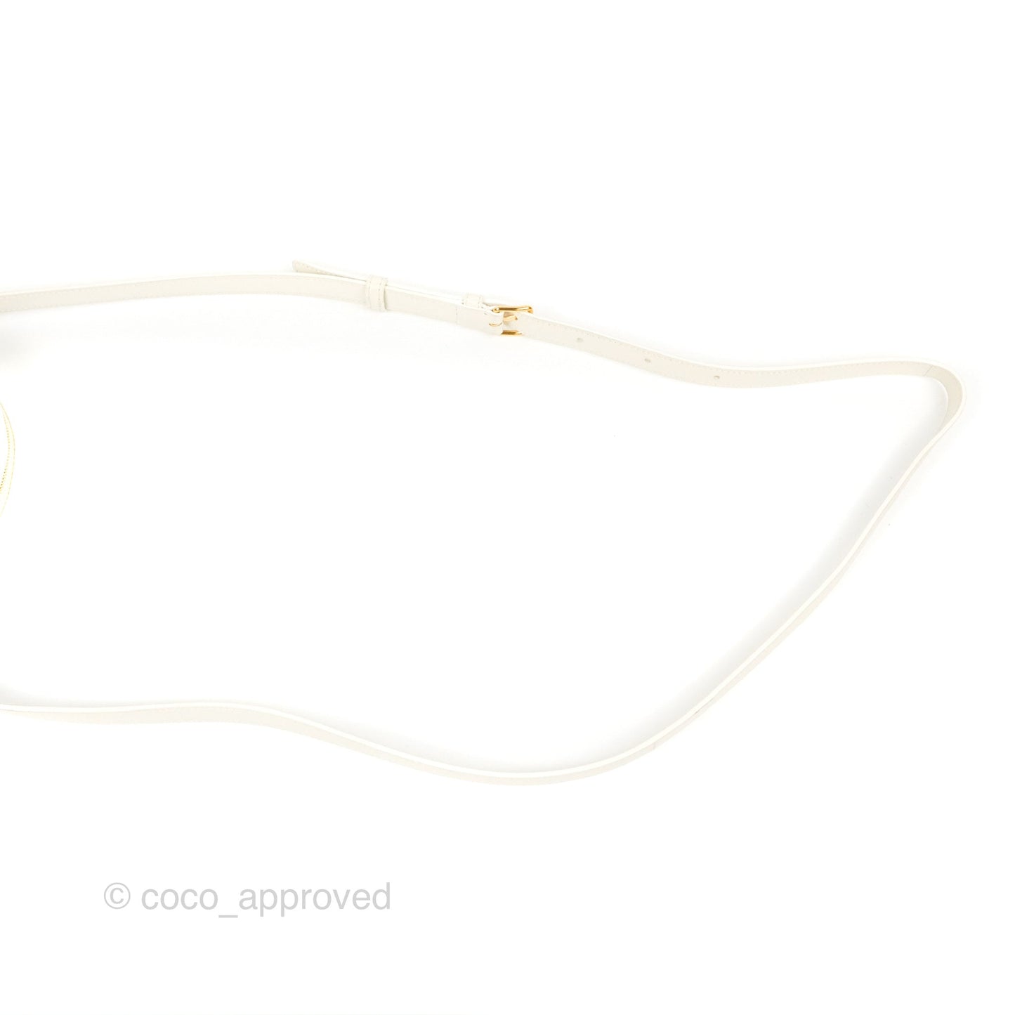 Celine Round Purse on Strap Triomphe Canvas White Calfskin