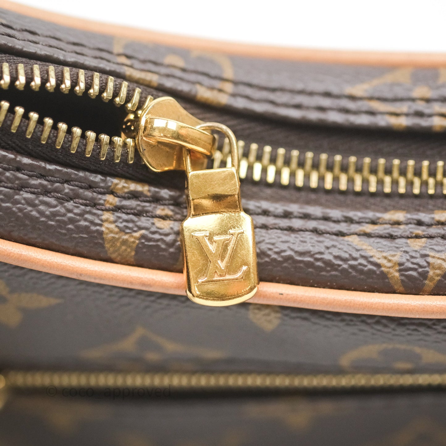 Louis Vuitton Loop Monogram Canvas