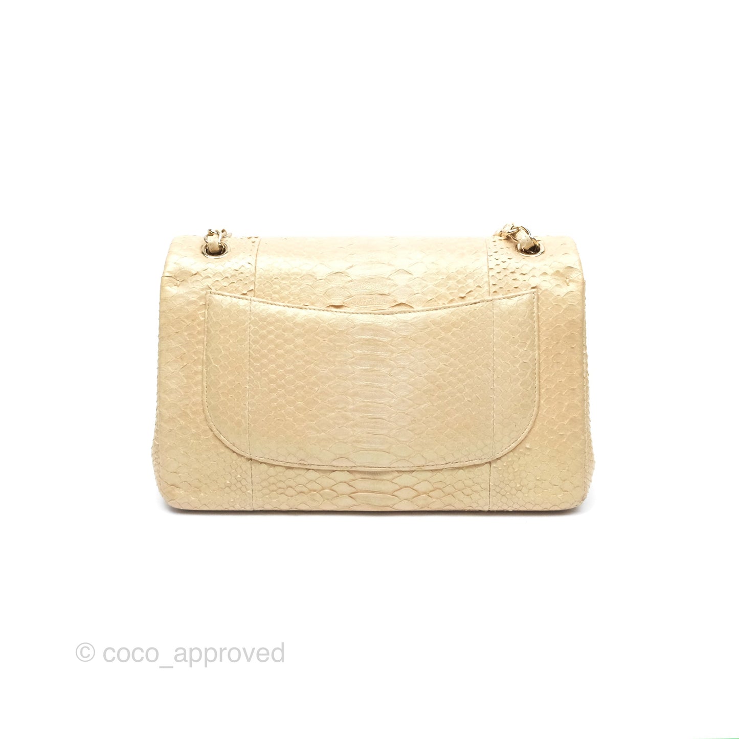 Chanel Jumbo Double Flap Iridescent Gold Python Gold Hardware⁣⁣