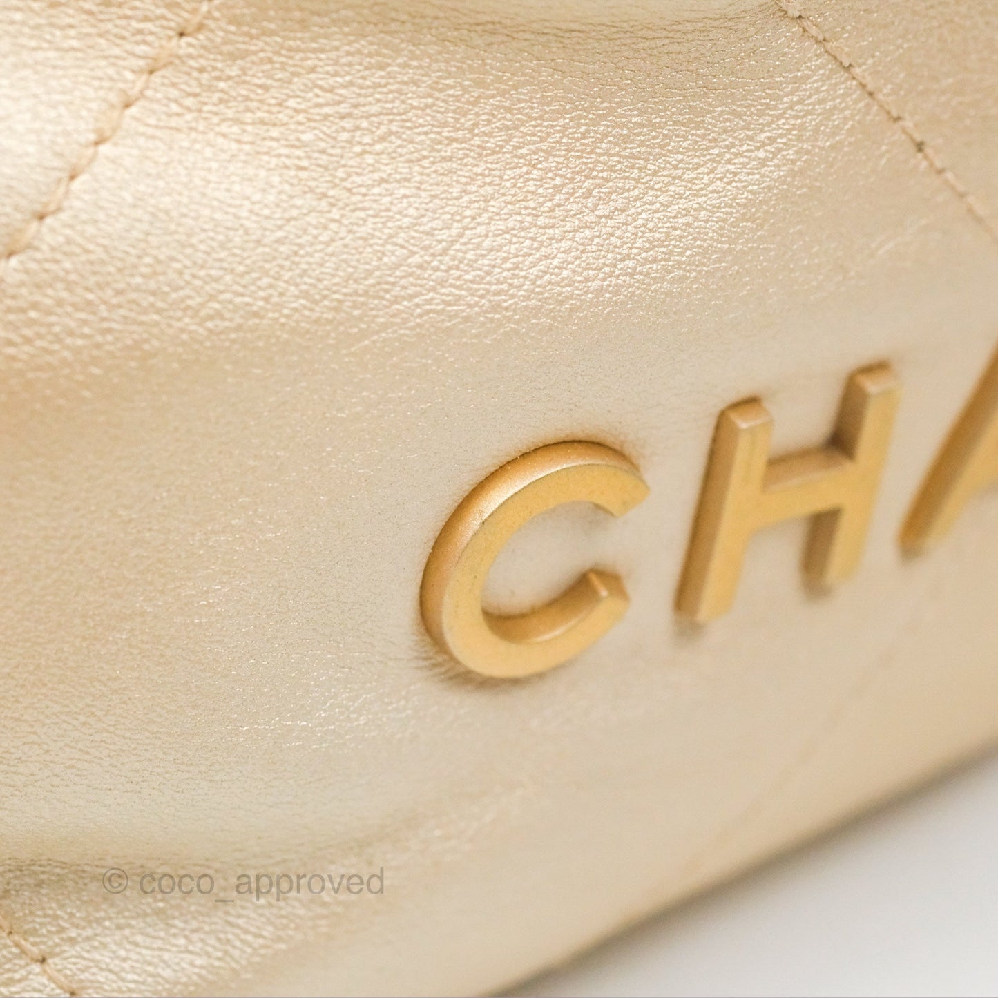 Chanel 22 Mini Bag Iridescent Light Pearly Calfskin Aged Gold Hardware