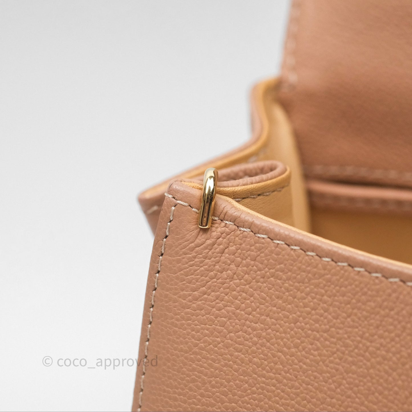 Delvaux Mini Brillant Bag Vison Grained Calfskin Gold Hardware with Twilly