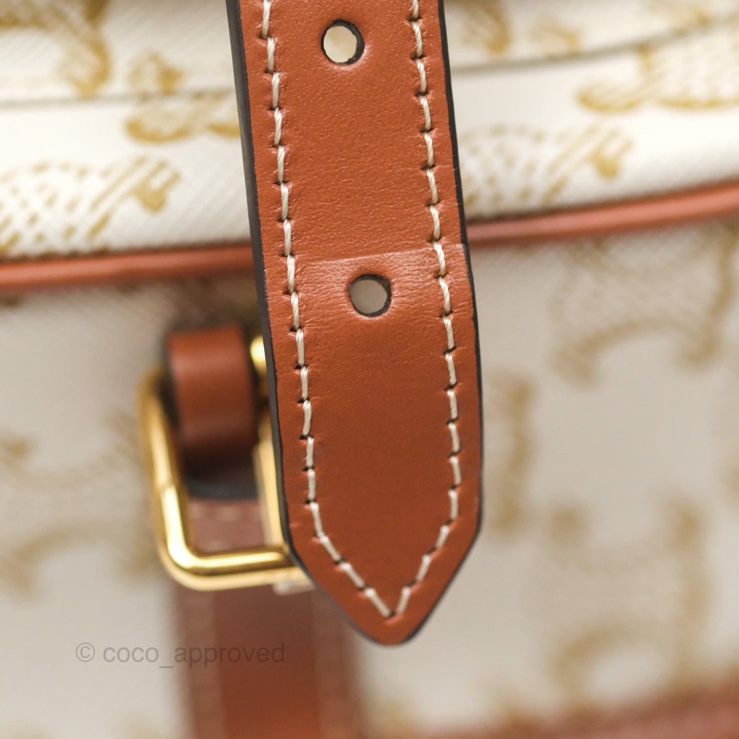 Celine Medium Folco Bag Triomphe Canvas White