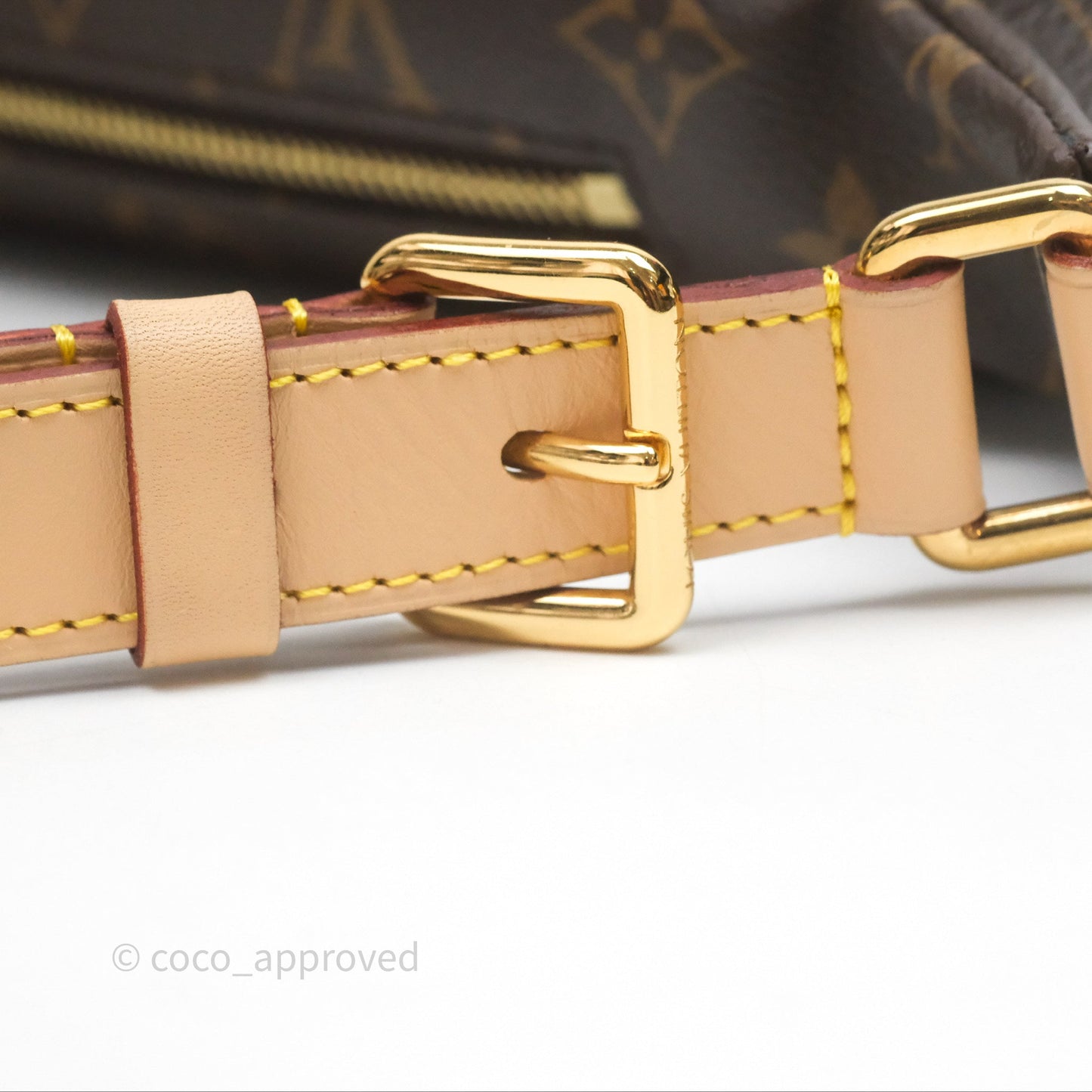 Louis Vuitton Bum Bag Monogram Canvas