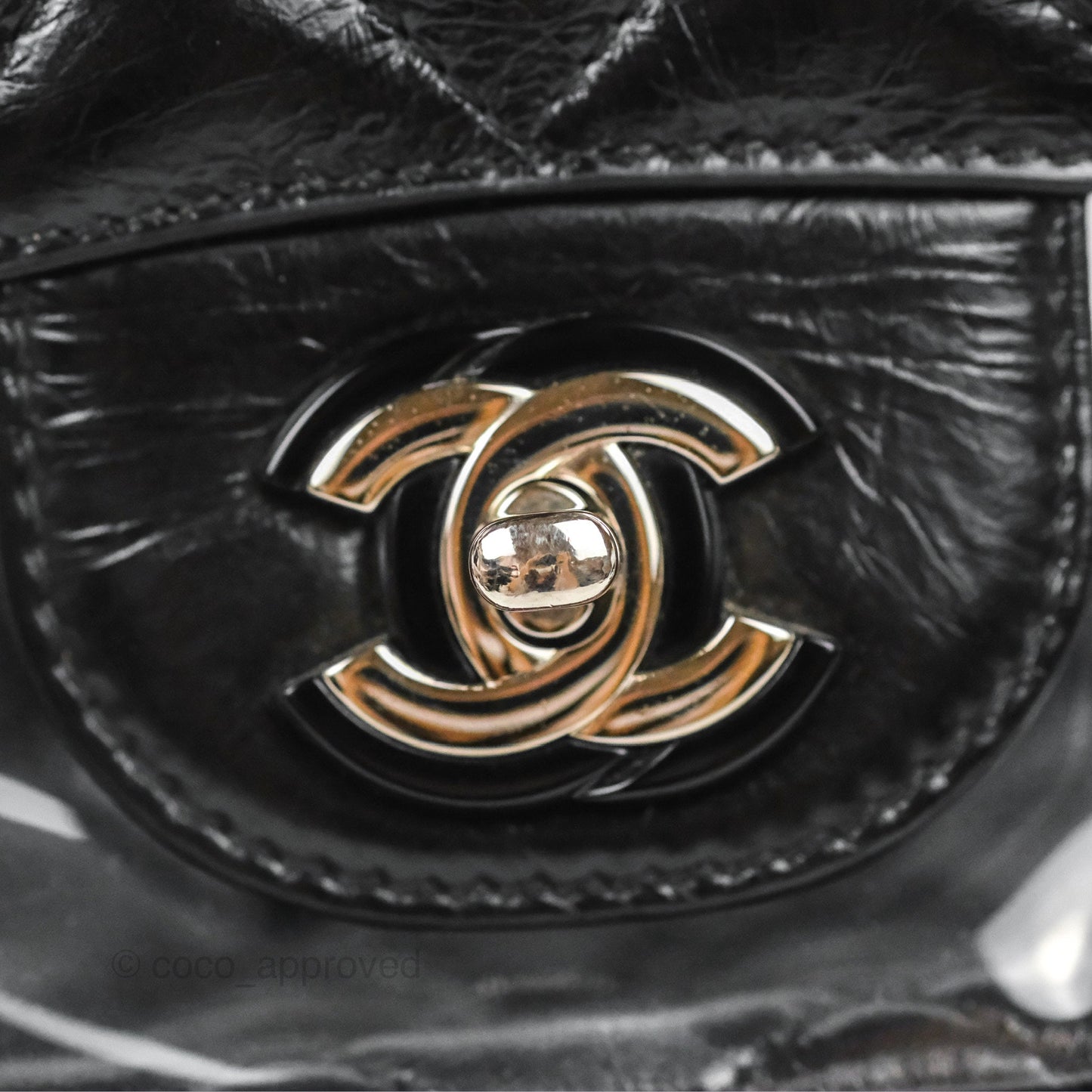 Chanel Aquarium PVC Backpack Black Crumpled Calfskin Silver Hardware