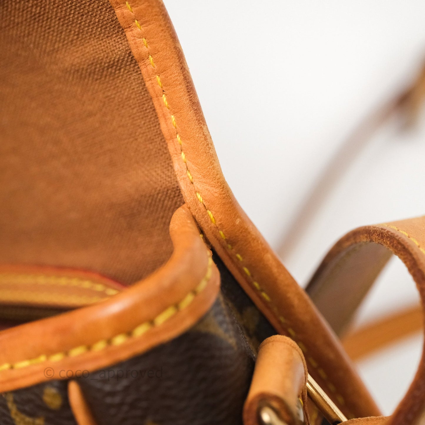 Louis Vuitton Vintage Diane Bag Monogram Canvas