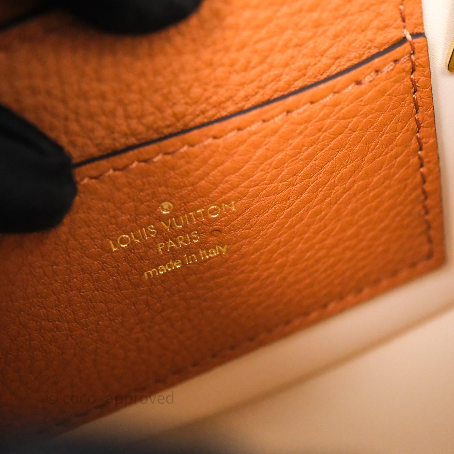 Louis Vuitton Pont 9 Soft PM Brown Grained Calfskin Gold Hardware