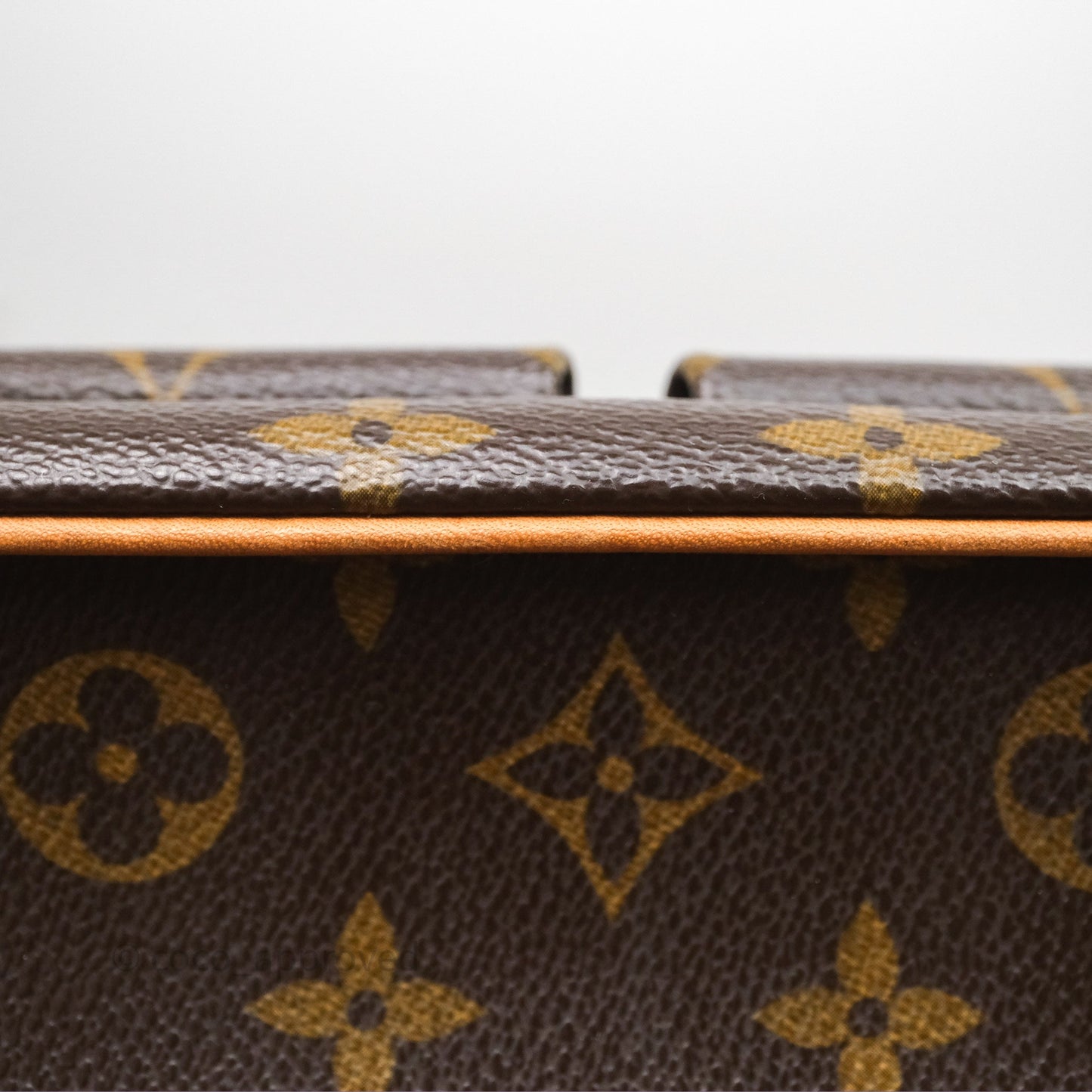 Louis Vuitton Multipli-Cite Tote Monogram Canvas