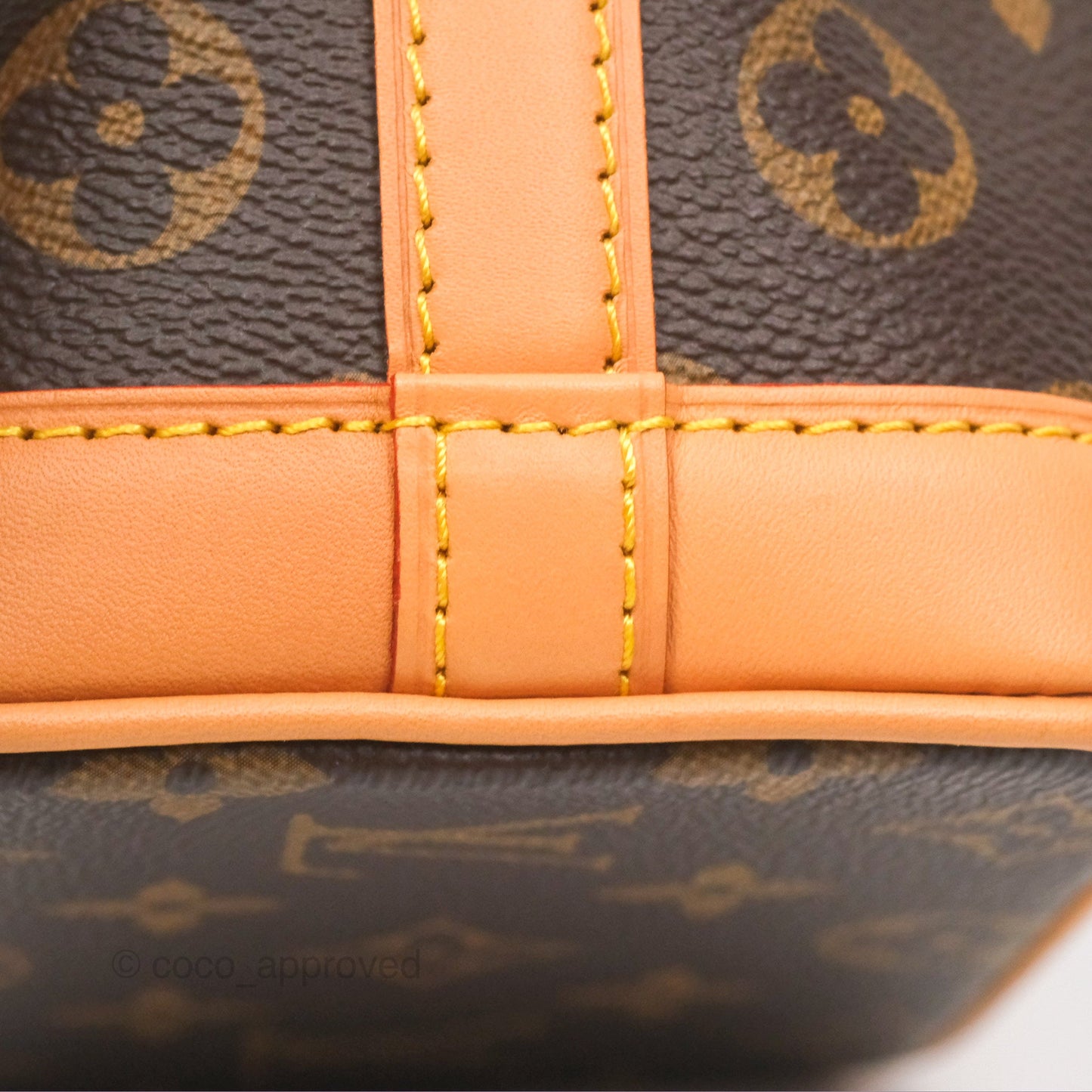 Louis Vuitton Nano Noe Monogram Canvas