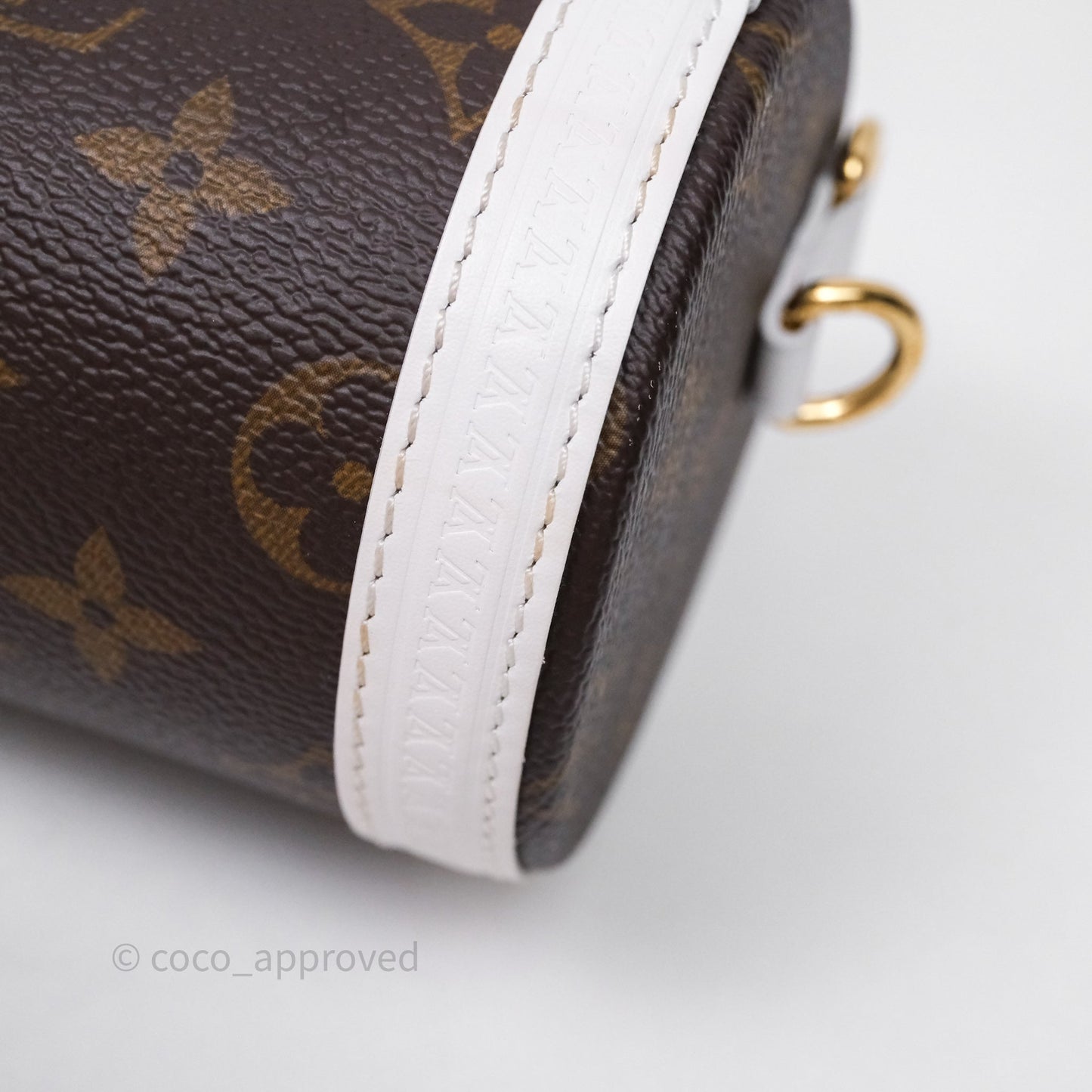 Louis Vuitton Monogram Papillon Trunk Bag