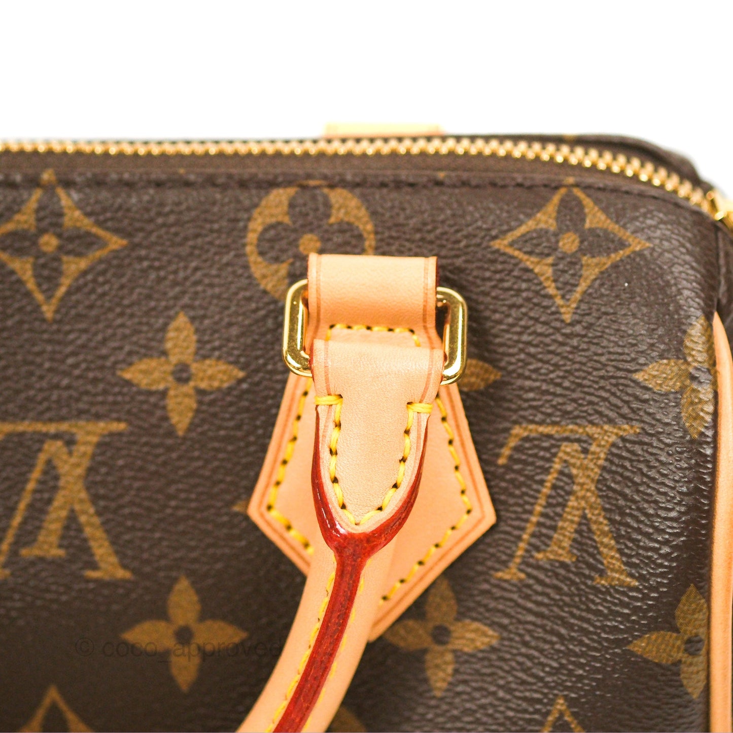 Louis Vuitton Speedy Bandoulière 20 Monogram